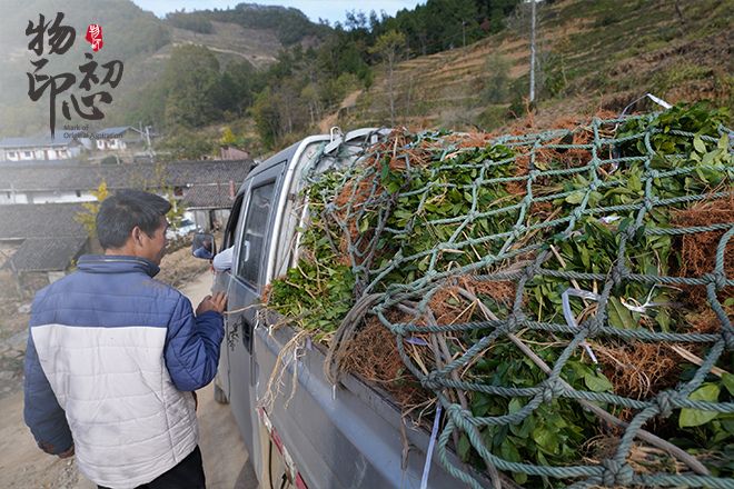 带动多少贫困人口增收脱贫_脱贫攻坚图片(2)