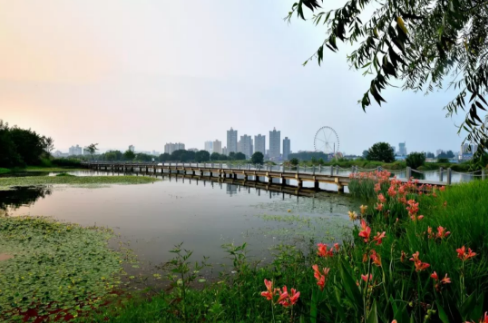 一方,护佑着城市生命,记录着沃土湖泊,滋润着一方公司的沧海桑田.只做室内设计的一座图片