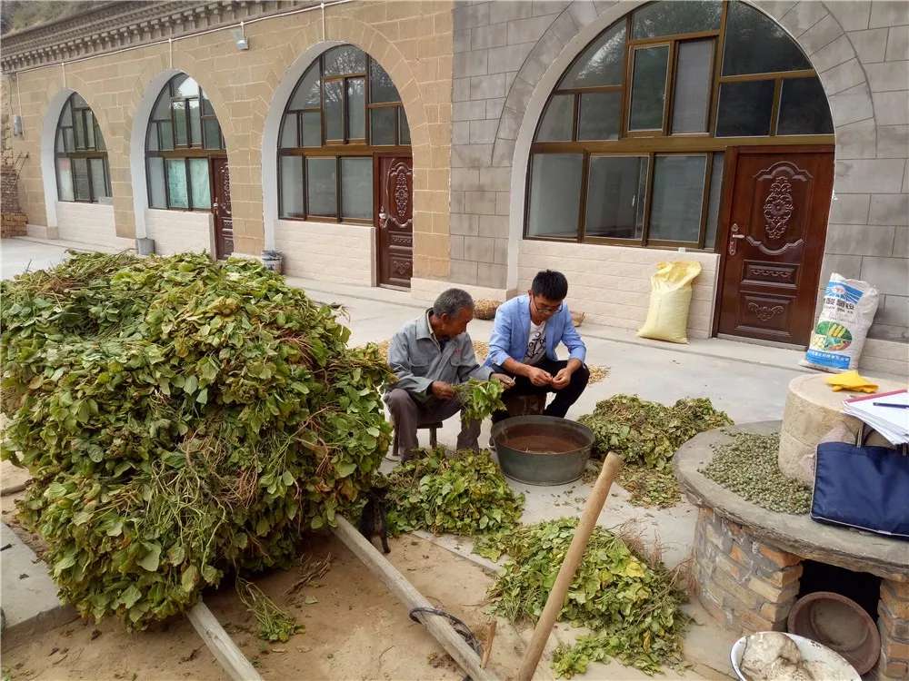 榆阳区脱贫示范户曹振荣脱贫致富靠双手努力摘掉贫困帽