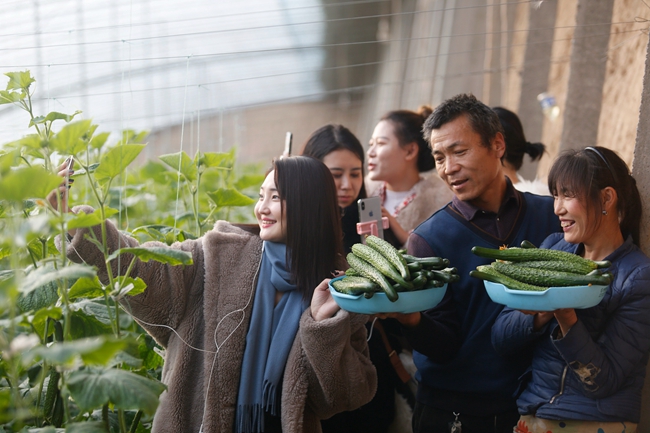 合阳:政府网上铺路 电商助农致富