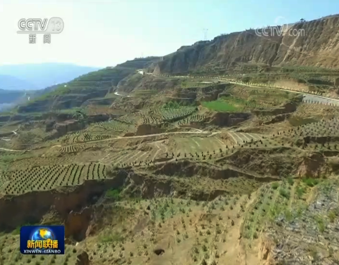 「改善」改善生态 各地积极推进植树造林