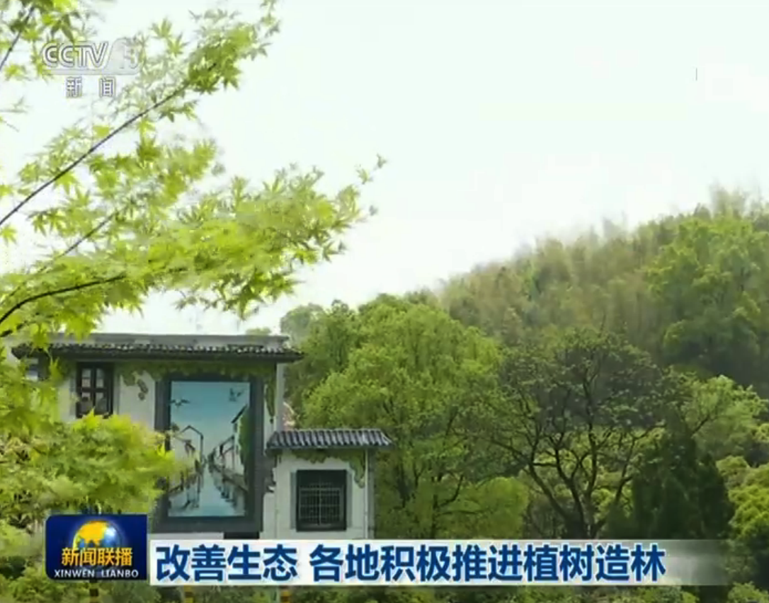 「改善」改善生态 各地积极推进植树造林