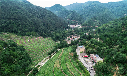 高山上的丰碑—来自马炉村的报道