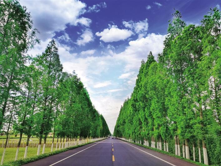 鄠邑区:筑就美丽乡村幸福路