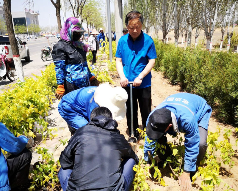 园林绿化提升定边颜值