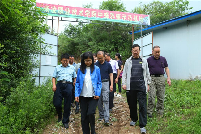 杨凌职业技术学院党委书记陈宁赴麟游县九成宫镇紫石崖村开展扶贫专项
