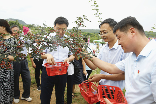 扶风县副县长梁丹军讲话,县委副书记张平宣布启动仪式正式开始