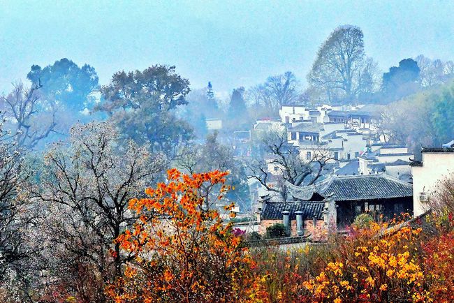 塔川归来不看秋,再过10来天,这个徽州山村又要火了