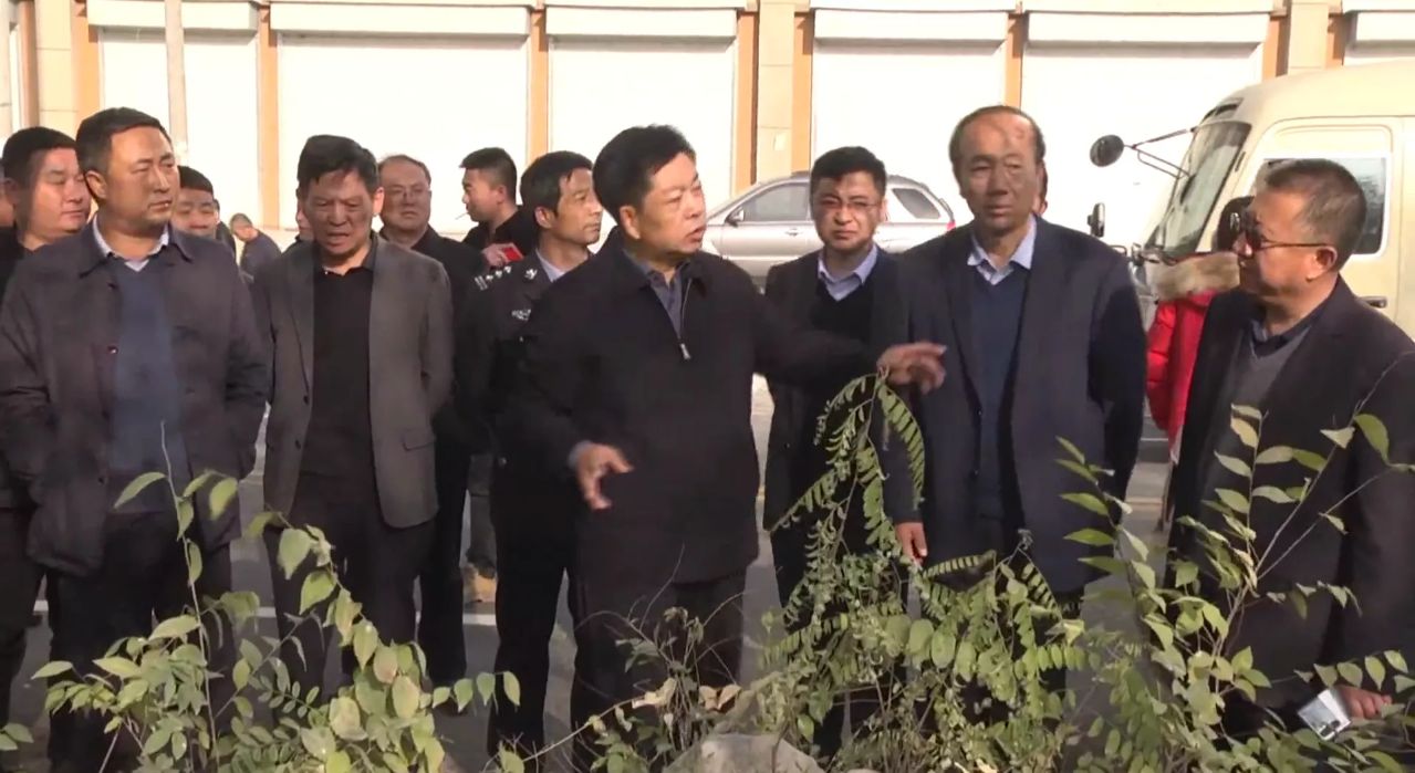 榆林市清涧县县长调研城市道路改建工程建设情况