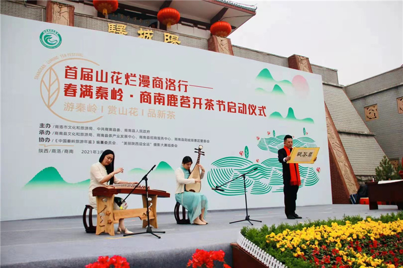春满秦岭·商南鹿茗开茶节在商南县举行