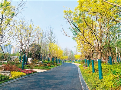 幸福林带景观绿化实景幸福路地区综合改造管理委员会供图