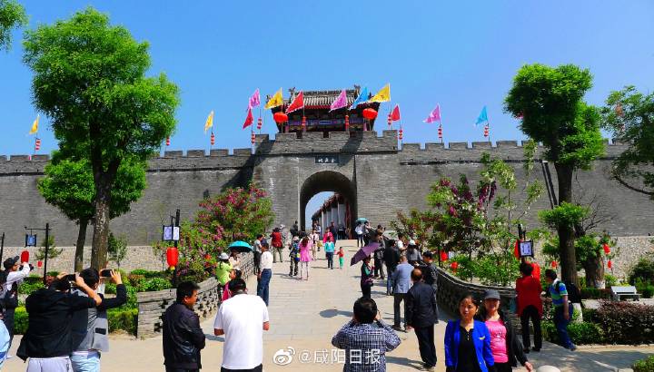 今年花开逛咸阳 || 中国·永寿第十八届槐花旅游文化节将于5月16日