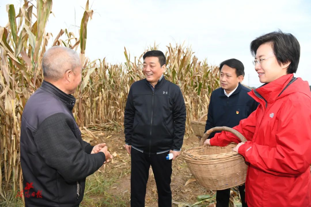 咸阳市级机关党员干部到农村帮助群众抢收抢种杨长亚卫华参加