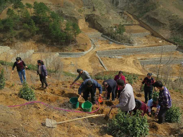 二郎庙村贫困群众"致富记"