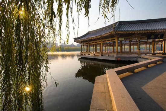 曲江池遗址公园 图/