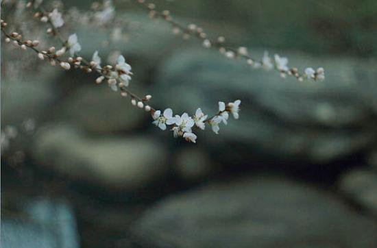 丰庆公园 图/@热拿铁latte