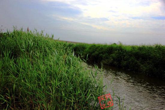 灞桥生态湿地公园 图/