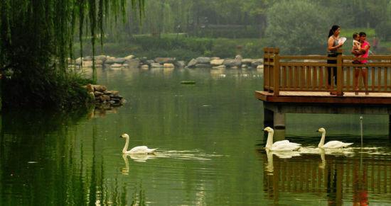 西安城市运动公园 图/