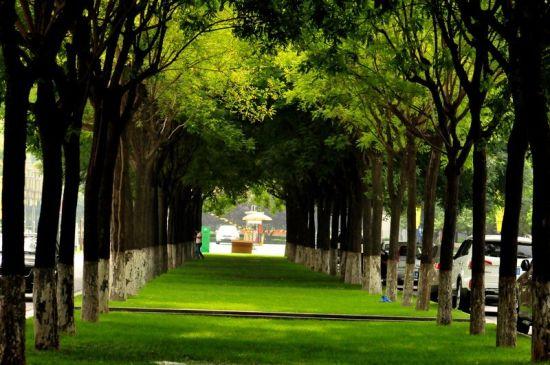 西安城市运动公园 图/