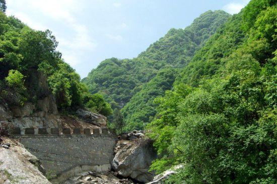 秦岭野生动物园 图/小诚wamddn2