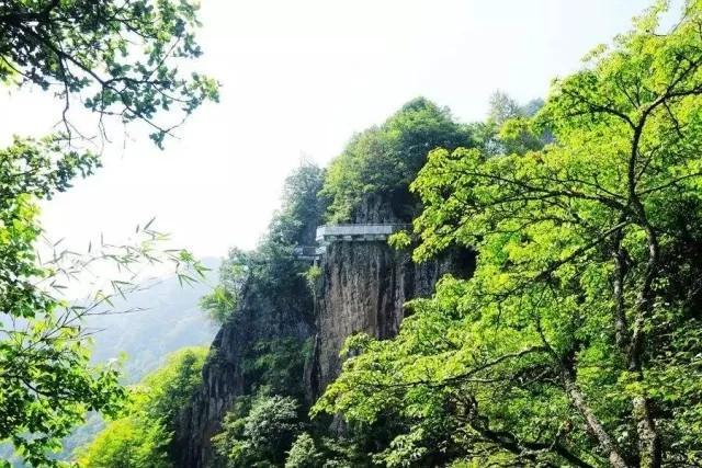 极限挑战在秦岭 绝壁攀岩等你练胆 玻璃栈道谁先腿软！