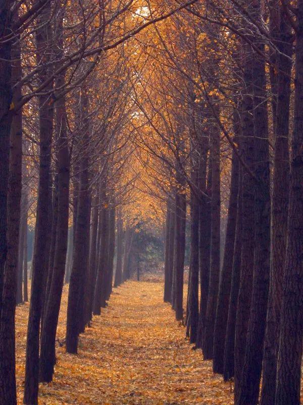 一座低调了千年的城池：泾阳