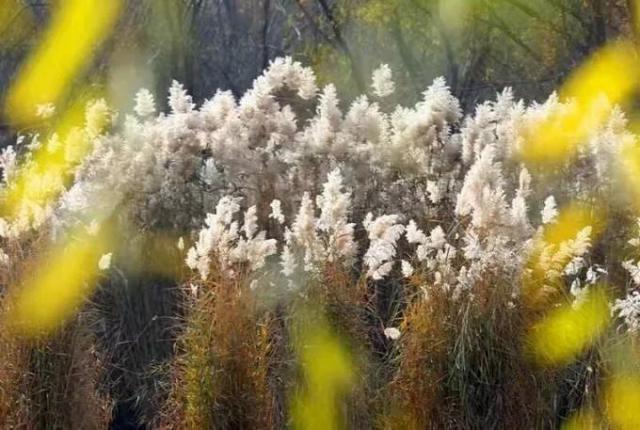 洽川风景区等您来 超详攻略拿走不谢！