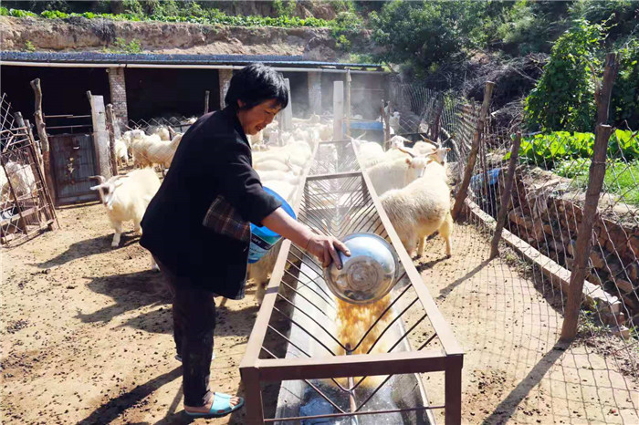 吴堡县最烂的女人图片