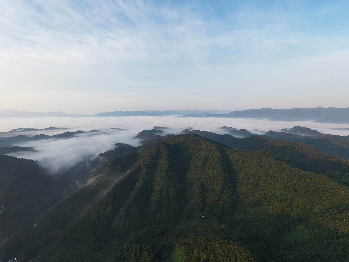 航拍石泉雲霧山雲海 (程鵬/攝)