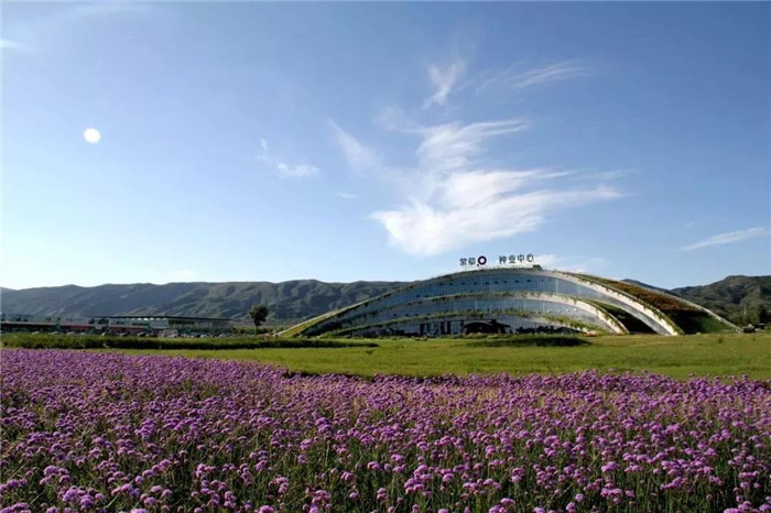 秦草生态全力服务黄河流域生态保护和高质量发展