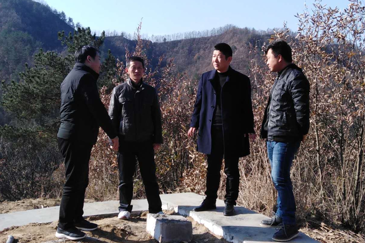 丹凤县驻村书记的乡村疫线日记三为乡亲们筑起防护墙