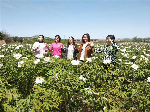 中国61永寿第十七届槐花旅游文化节开始啦