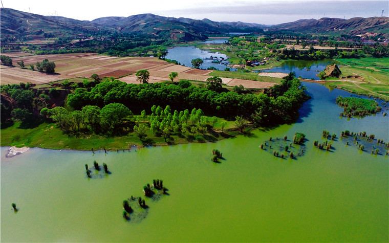 靖边:植绿不停步 山川添锦绣