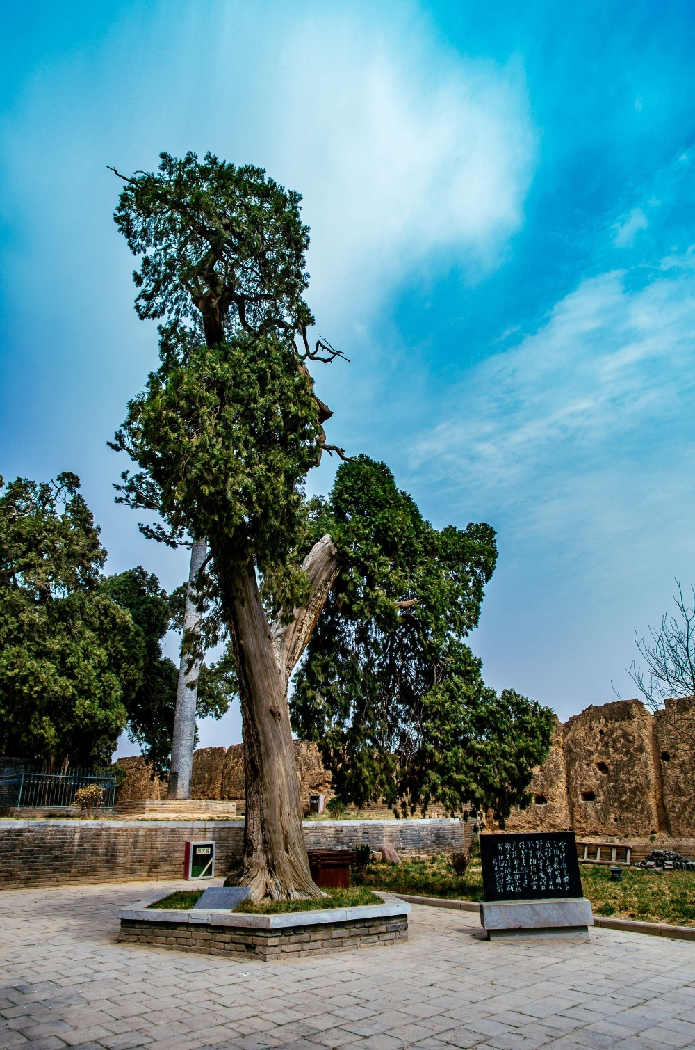 古柏木雕星空看看白水县的仓颉庙