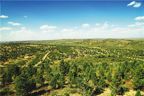 打造新时代三北防护林陕西样板