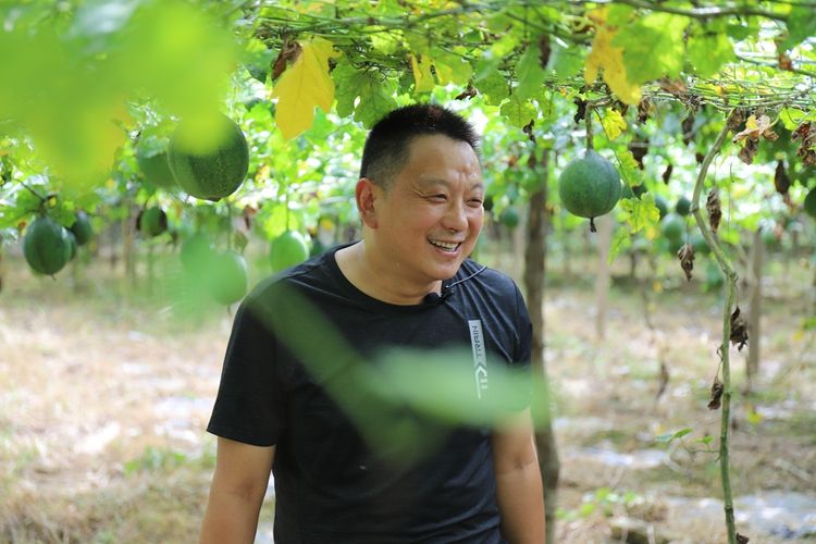 在巍巍秦岭间拓宽脱贫致富路长安大学帮扶商南县脱贫纪实