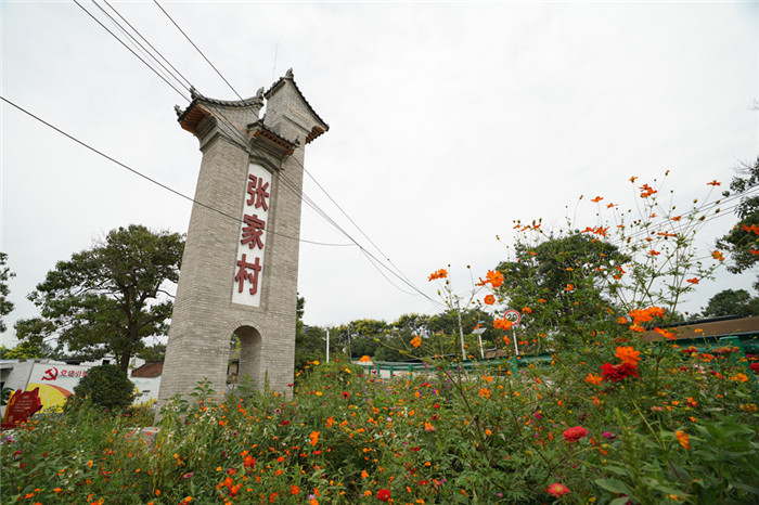 好网民代表走进高陵区 聚焦三生融合新蓝图