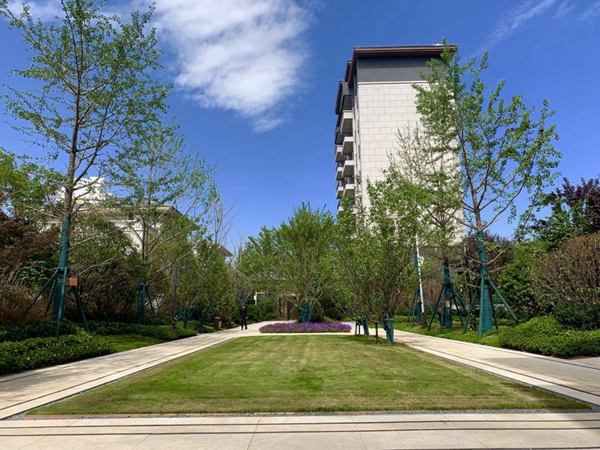 所见即所得交房即交证碧桂园香湖湾1号完美交付