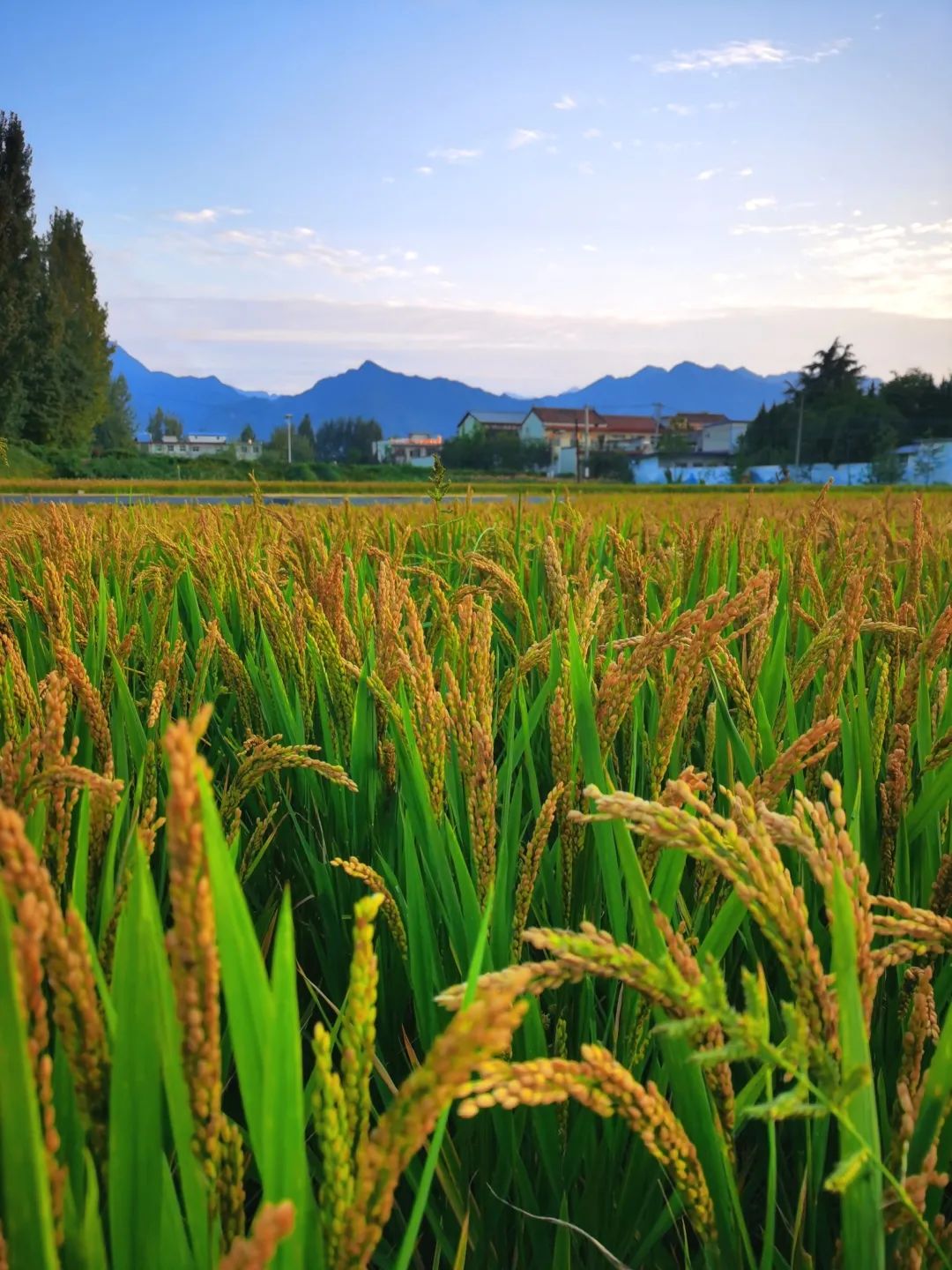 望得见山看得见水打卡终南山下的古老村落
