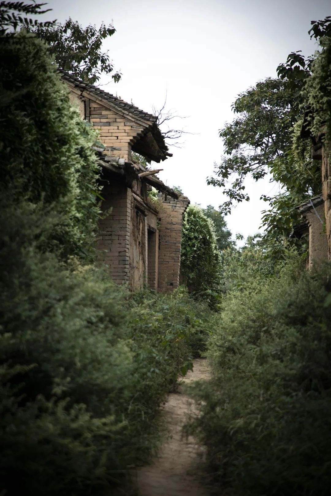 望得见山看得见水打卡终南山下的古老村落