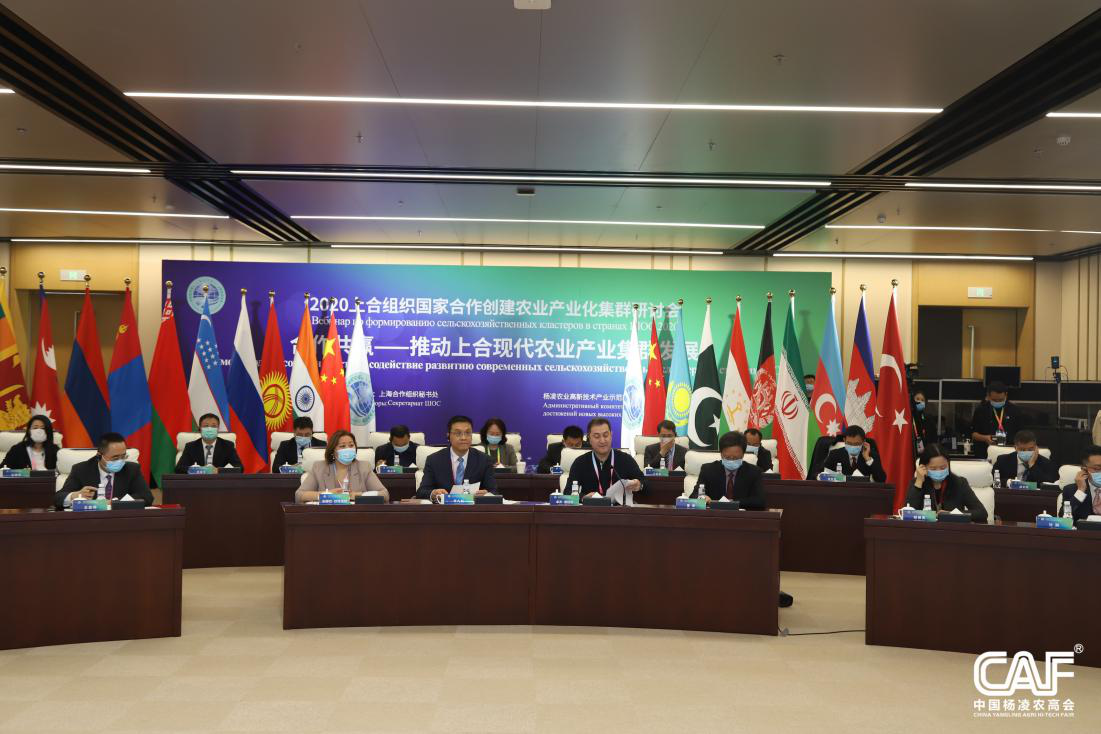 关于一带一路培训规划的信息 关于一带一起
培训规划的信息《关于一带一起培训规划的信息简报》 一带一路
