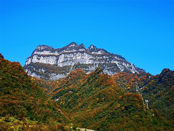 酉阳县龙头山图片