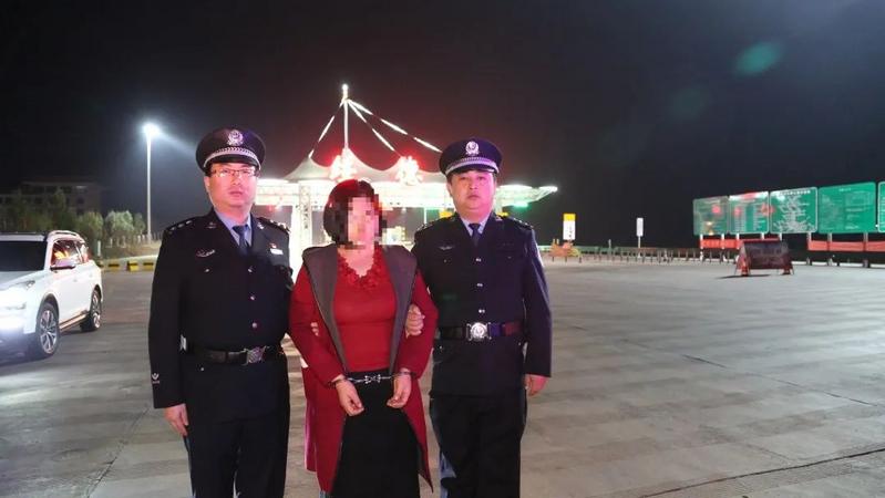 逃犯王某被押解回绥德,榆林市公安局党委委员马锐,刑警支队支队长张巍