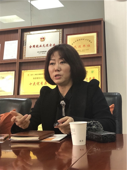 陕西省人大代表王淑惠:"放心早餐"营养脱贫两不误