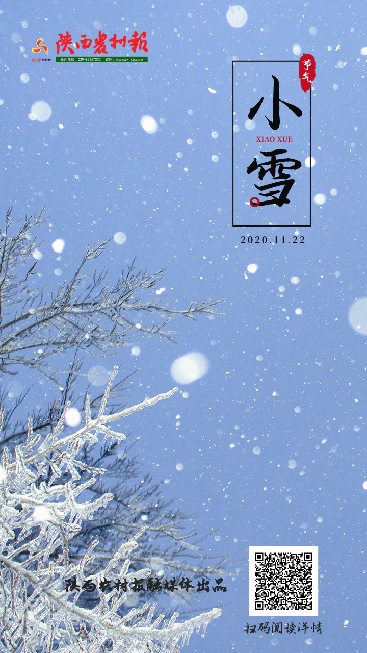 陕西社会北京时间今日4时39分 我们迎来了小雪节气 小雪是农历二十四