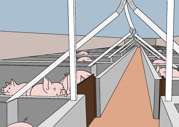 【决胜2020】陕汽控股:发展绿色养殖 助力脱贫攻坚