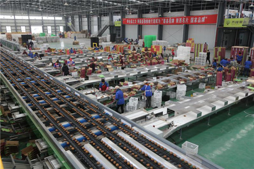 (加急 农业部批准在眉县建设全国唯一的国家级猕猴桃批发市场 附链接)“十四五”擘画新蓝图 陕西眉县将努力建成全球猕猴桃标准化引领区