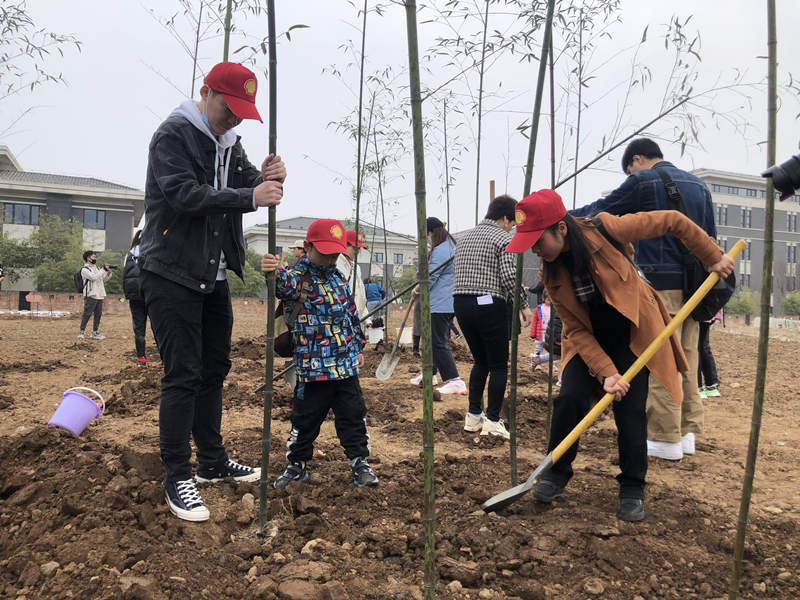 壳动春天我为秦岭大熊猫种竹子全民义务植树活动举行