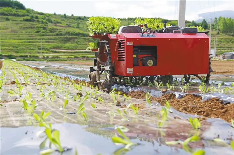 科技种田  农业走向现代化