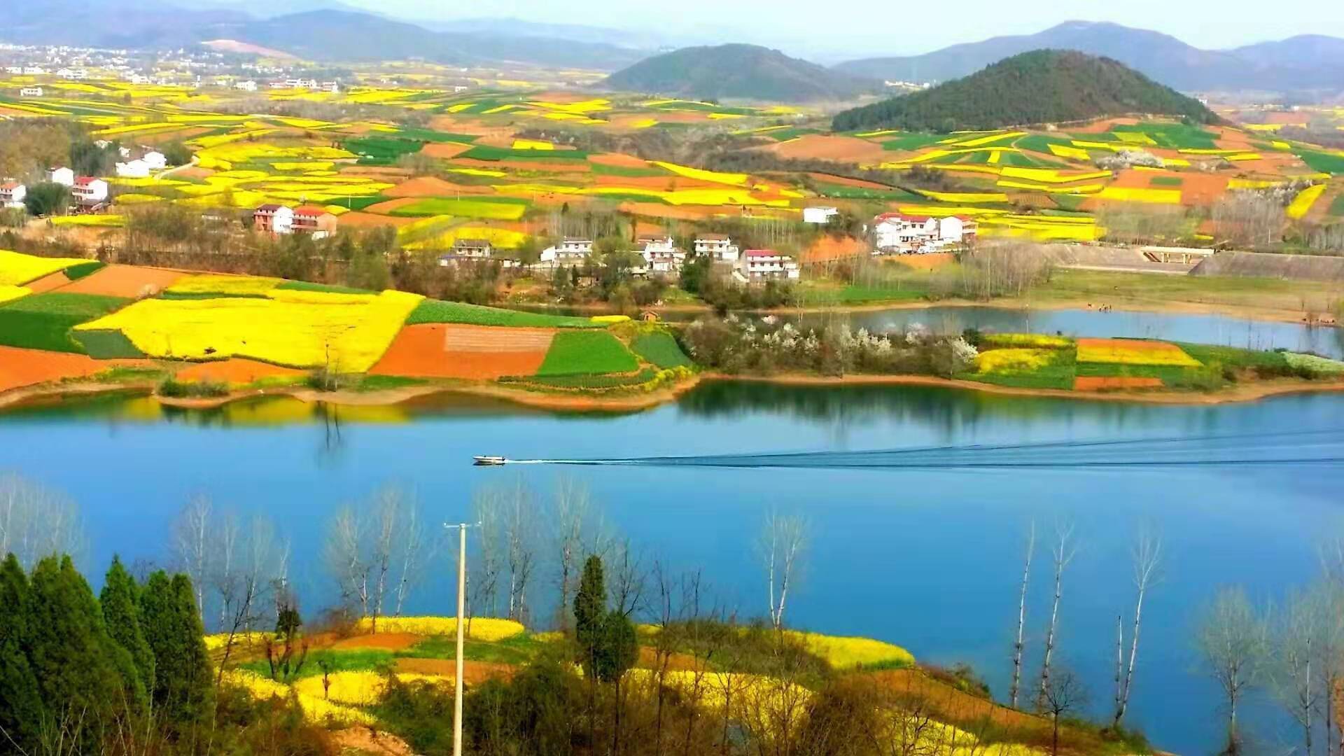 春风洋州 五岭观花画中游